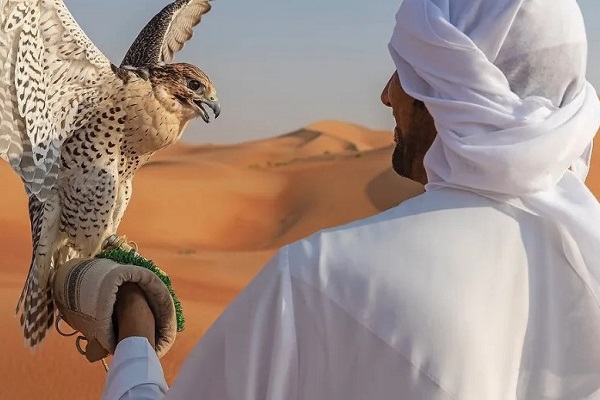 The call of the wild: Salukis, falcons and the Arabian adventure